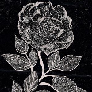 Meet your Posher, Neida